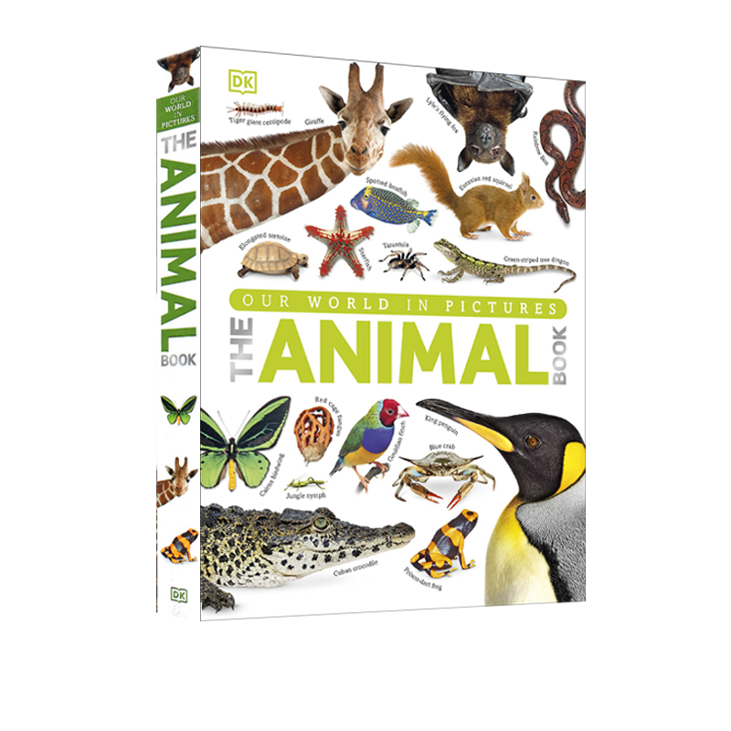 英文原版 The Animal Book A Visual Encyclopedia of Life on Earth 动物大全视觉百科 精装全彩大开本 儿童动物图解科普读物