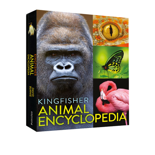 英文原版 翠鸟出版社 动物百科全书 The Kingfisher Animal Encyclopedia 精装大开本 少儿科普绘本
