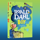 Boy 英文原版 罗尔德达尔系列 好小子 Roald Dahl 儿童小说 小学生初中课外阅读趣味故事书
