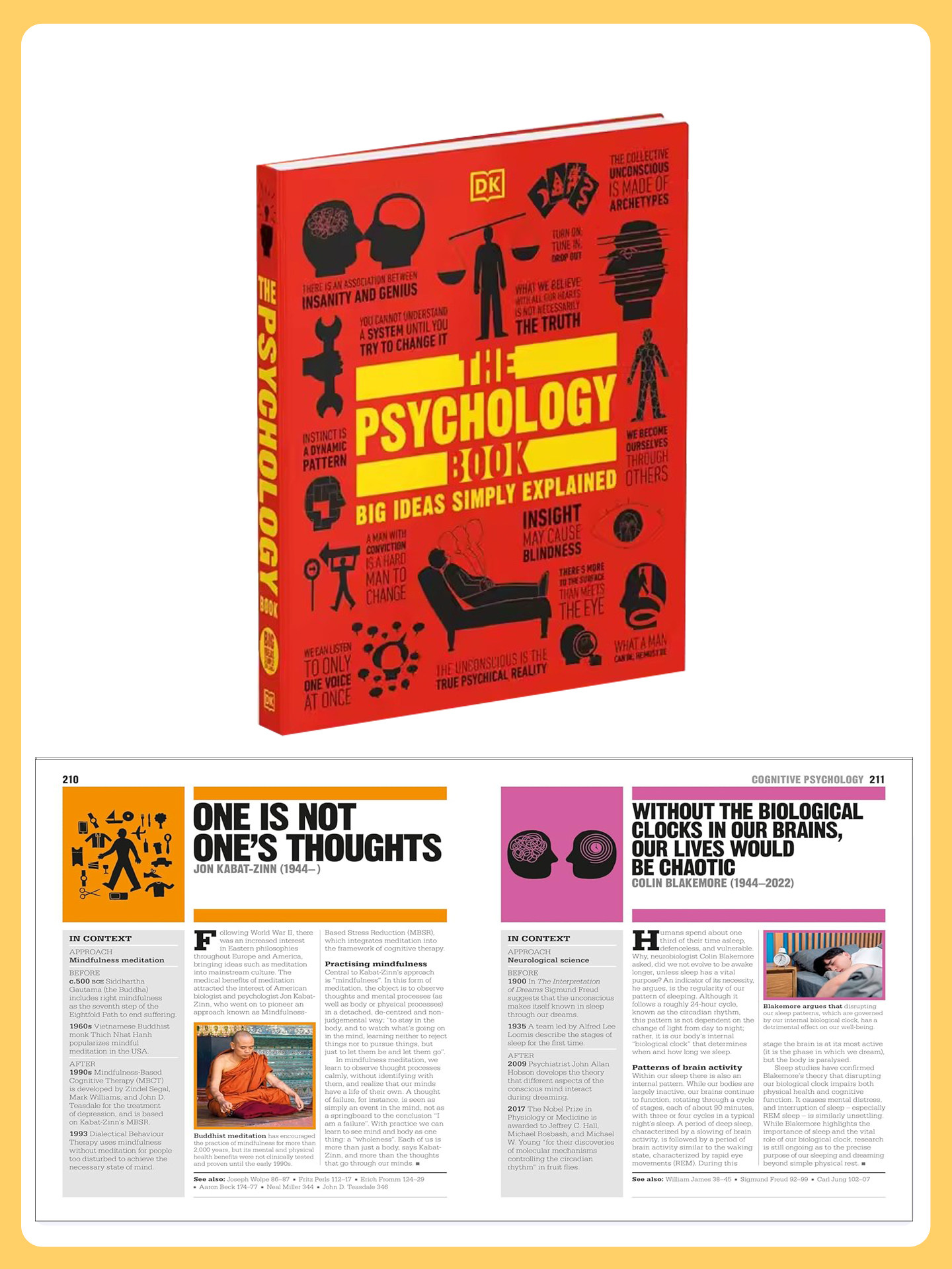 DK Big Ideas Simply Explained 人类思想百科丛书 The Crime Book 犯罪心理社会法律 生物化学物理天文学 人文社会科学 英文原版 thumbnail 7
