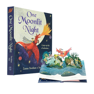 英文原版绘本 One Moonlit Night 月夜 儿童冒险故事书  翻页弹出式精装立体书