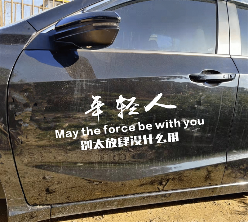 年轻人别太放肆车贴没什么用抖音同款搞笑个性创意网红汽车身贴纸