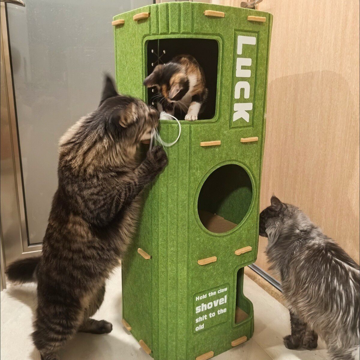 Multi-Function Cat Haven: Scratcher, Climber, Bed – Unbeatable! - Taobao product photo 3