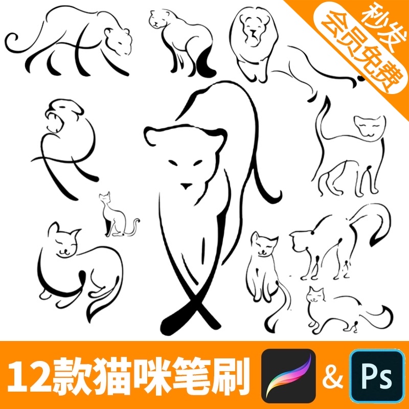 ps笔刷猫咪动态效果procreate老虎狮子动物素材ipad绘画轮廓线b56
