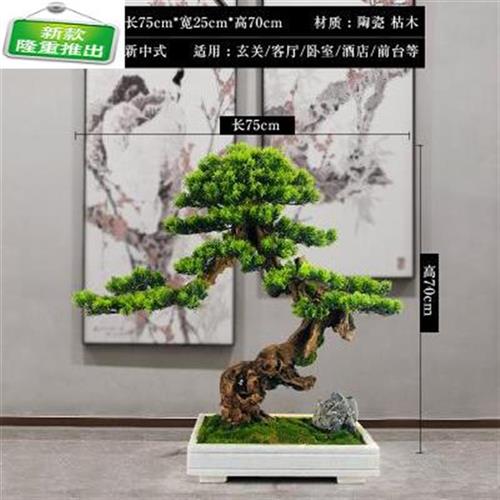 真崖柏迎客松盆景罗汉松摆件玄关客厅装饰花书房酒店