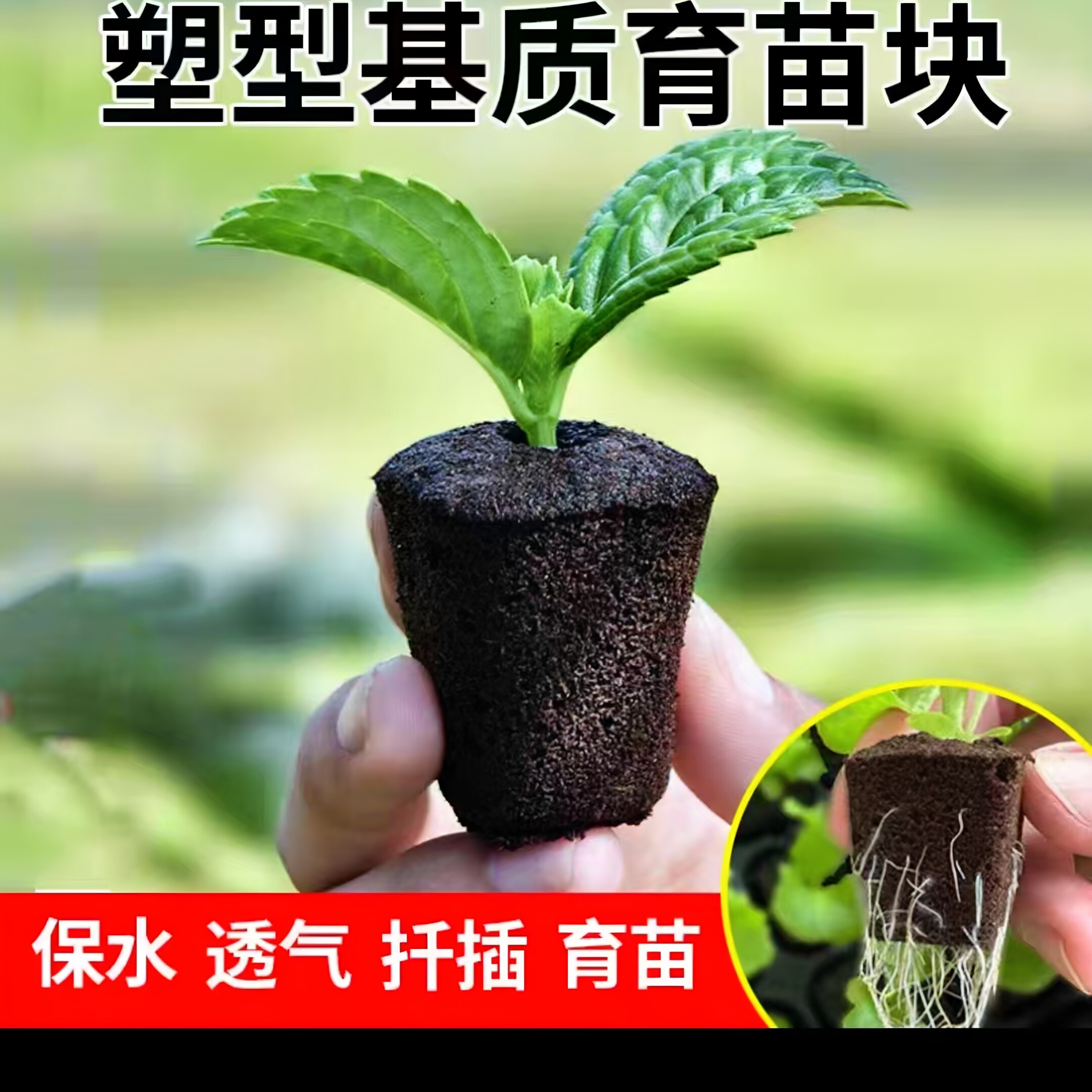 水培蔬菜生长海绵基质块生物碳棉无土栽培种植泥炭土海绵多肉炭绵