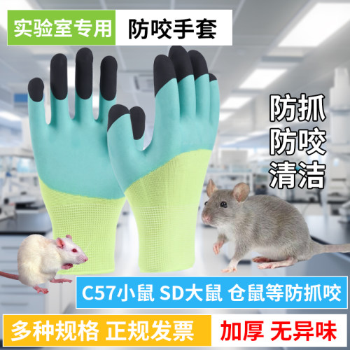 强志达防老鼠咬实验室手套