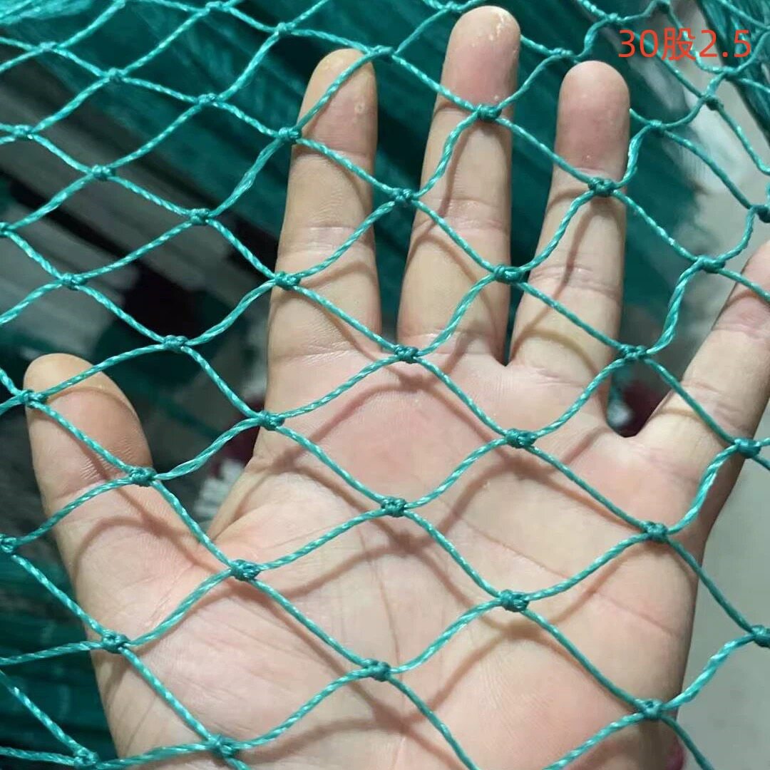防鸟网果园围网大棚通风养殖围栏网葡萄草莓防护网天网鱼塘养结实