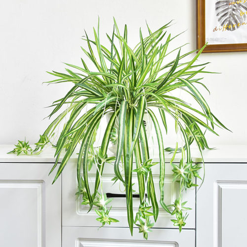 仿真植物绿植金边吊兰吊篮垂吊
