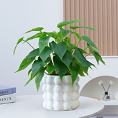 手感绿植仿真花摆件高品质盆花假花套装 客厅茶几室内装 饰花卉摆设