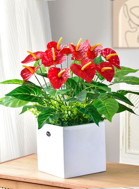仿真植物盆栽红掌花假花客厅摆件