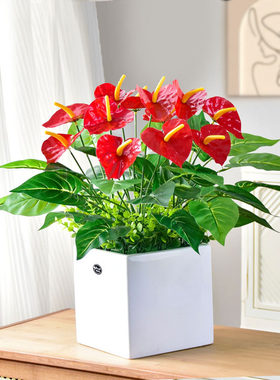 仿真植物盆栽红掌花假花客厅摆件