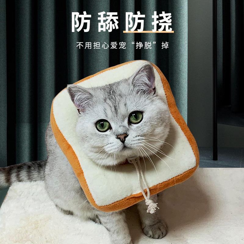 伊丽莎白圈猫不影响吃饭宠物猫咪狗狗幼猫防舔圈头套项圈防舔