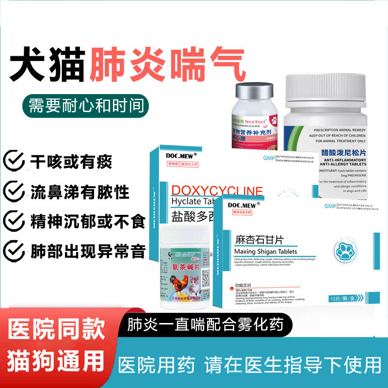 犬猫肺炎气喘急促用药咔咔咳嗽喘气厉害止咳平踹白肺冠状咳嗽雾化