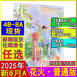 2A青春校園古風(fēng)都市言情短篇小說女生文學(xué)打包清倉過刊魅麗花火系列8月上 花火雜志2025年8A