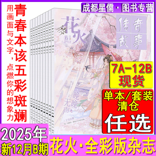11B 11A 2024 杂志2025年12月B 2022过刊魅丽花火系列青春校园女生都市古风言情短篇小说 12A 10A 花火全彩版 10B