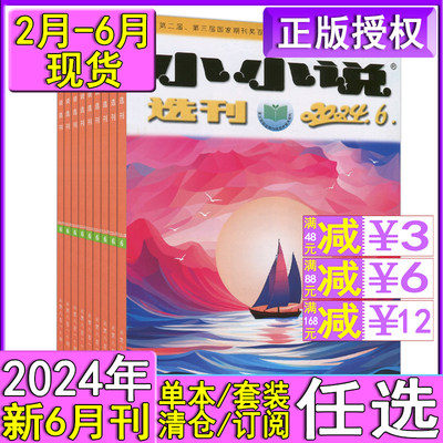 小小说选刊杂志2024年6月可选
