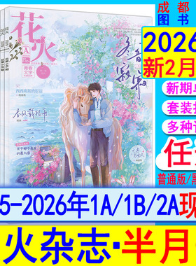 花火杂志2026年2A/1B/1A【全年/半年订阅】另有2025年7-12AB/2024全彩2023过刊魅丽花火系列青春校园古风都市言情短篇小说女生文学