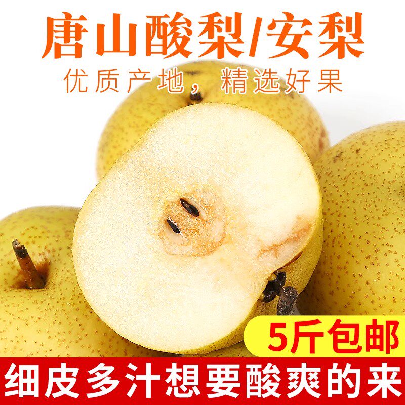 酸梨新鲜唐山特产水果5斤烂酸梨东北冻梨细皮多汁酸梨安梨 包邮