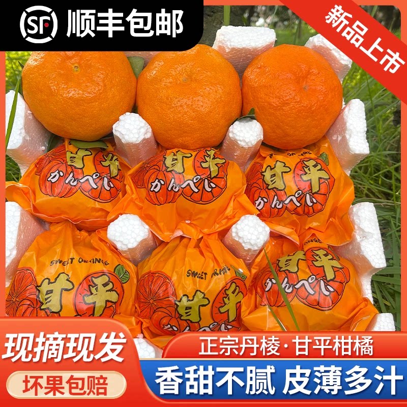 四川眉山甘平柑橘皇后当季鲜果