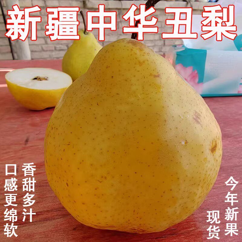 中华丑梨新疆特产水果新鲜软糯香甜皮薄多汁胜香梨巴梨丑梨