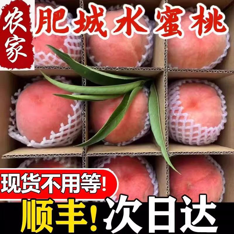 山东农家自种肥城桃脆甜大桃当季新鲜水果现摘现发佛桃水蜜桃礼盒