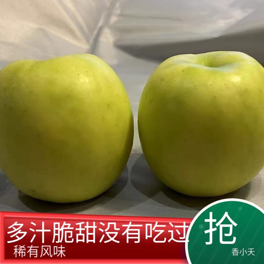 稀有陕西瑞雪苹果白水水果当季整箱包邮脆甜纯甜脆甜爽口少见送礼
