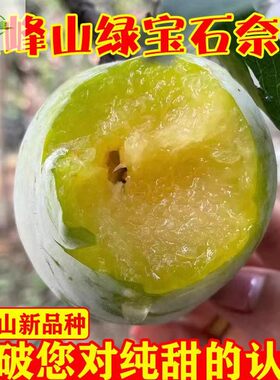正宗云南黄金李子新鲜水果