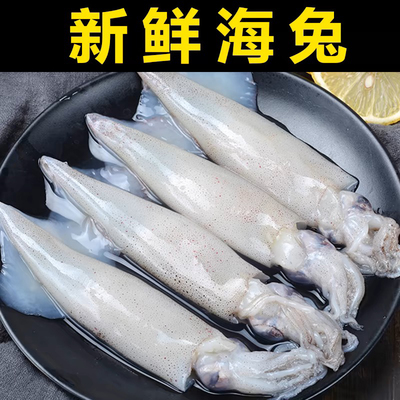 新鲜笔管鱼无籽海兔子鲜活小鱿鱼速冻水产火锅食材商用包邮顺丰