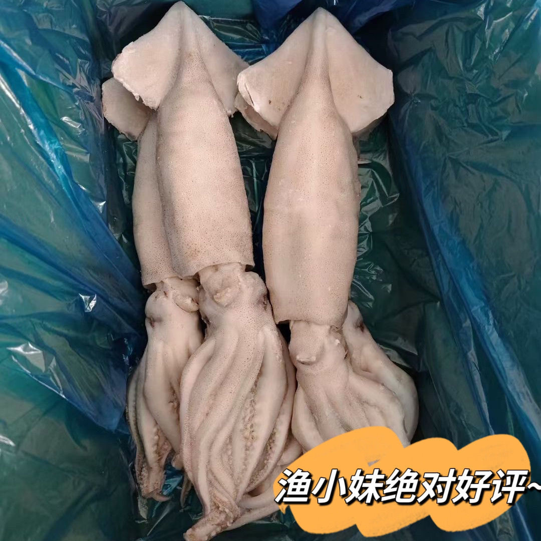 当季活冻小鱿鱼冷冻海鲜板串食材烧烤速冻铁板自助火锅每条300克
