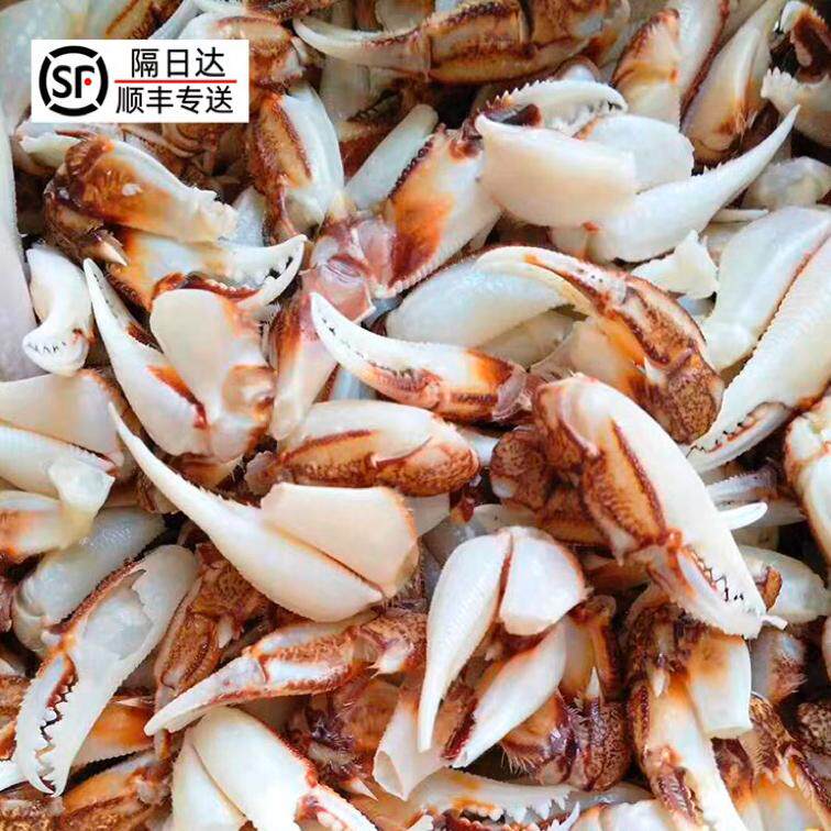 腌制鲜冻蟹钳生鲜小号冷冻沙蟹钳薄壳生腌商用捞汁醉蟹钳