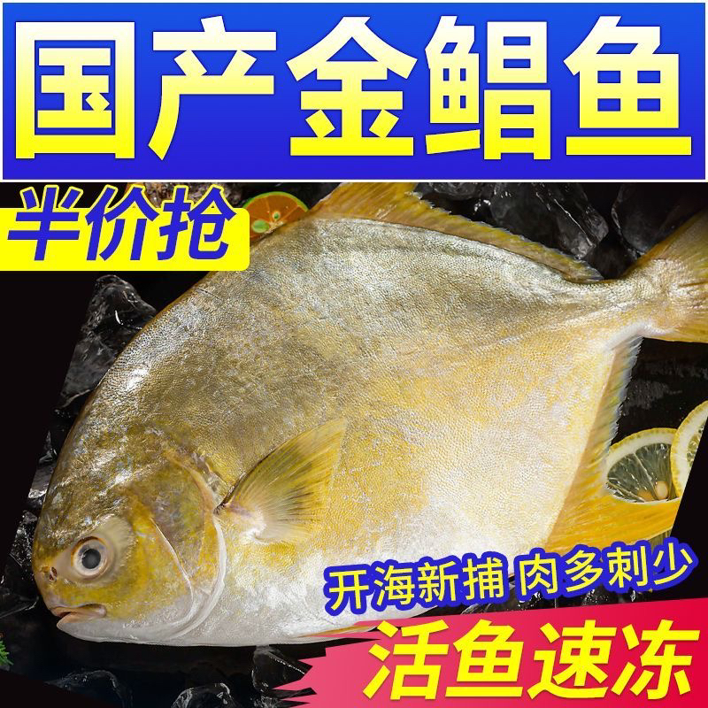 大号当季金鲳鱼新鲜海鱼鲳鱼金昌鱼平鱼镜鱼鲜活鱼类冷冻