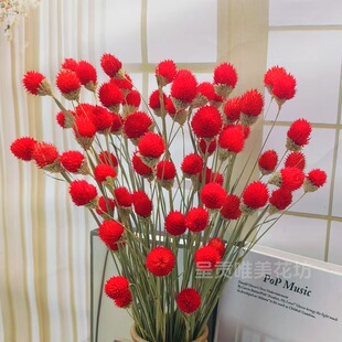 千日红草莓果干花永生花网红花束插花材料客厅装饰小清新diy材料
