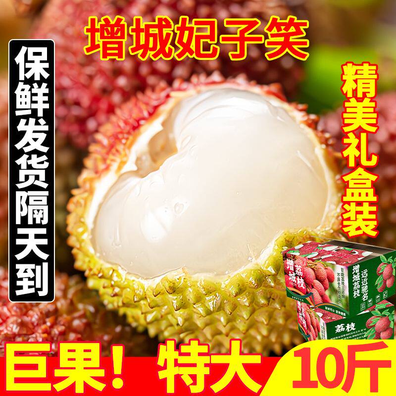 增城荔枝白糖罂现摘现发当季新鲜水果5斤整箱包邮妃子罂笑3礼盒装