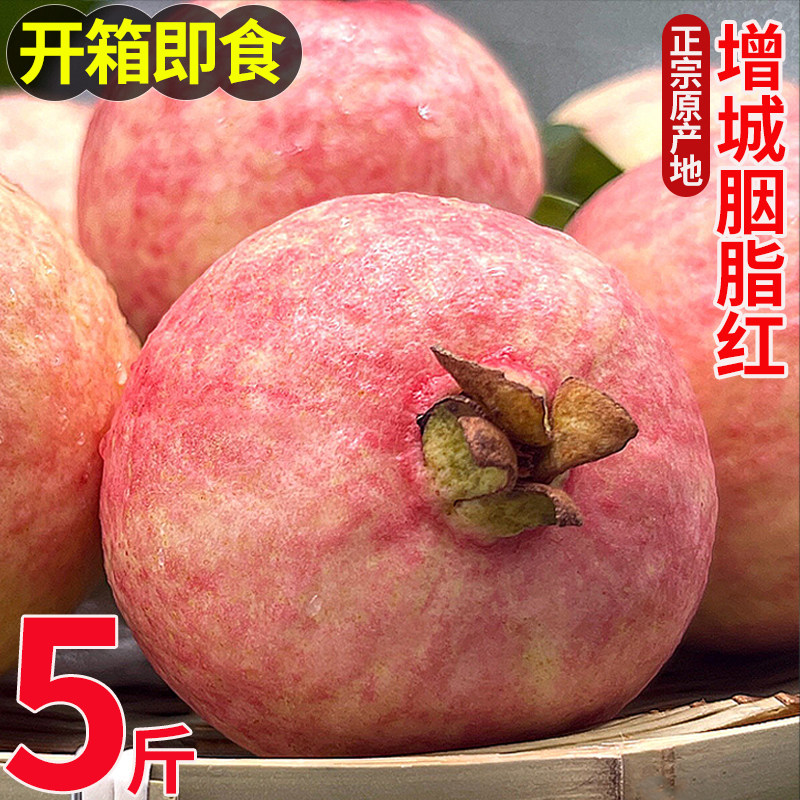 正宗增城胭脂红芭乐番石榴红心四季广东当季孕妇水果新鲜现摘现发,水产肉类/新鲜蔬果/熟食,番石榴/芭乐,淘宝优惠券,粉丝福利购,淘宝优惠卷
