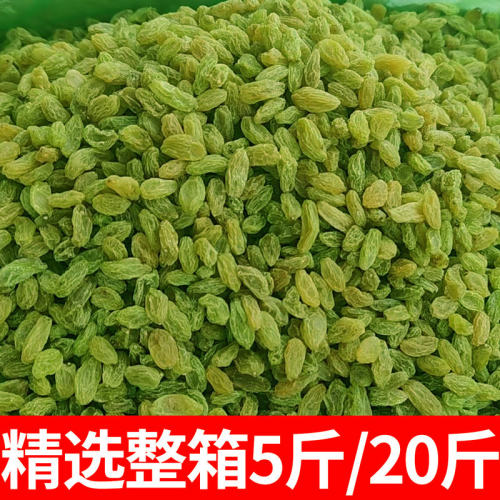 新疆葡萄干商用批发 特大新货绿葡萄干纯无籽葡萄干奶茶店提子干