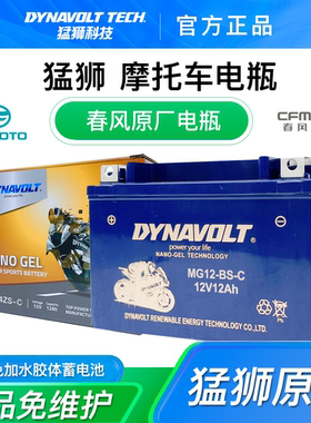 春风原厂ST狒狒150NK250NKSR400NKGT650NK/MT国宾700CLX800MT电瓶