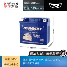 GT12-4雷卡迪RX3 RX7雷克V300 650赛科龙RT3睿途摩托车电瓶蓄电池