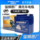 KPS150 力帆KP150KPV150KPR150KPT200KPR200KPM200 K19摩托车电瓶
