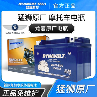 ie300 龙嘉龙嘉V咖 龙嘉VMAX V霸 XDV250Si摩托车电瓶蓄电池 V途2