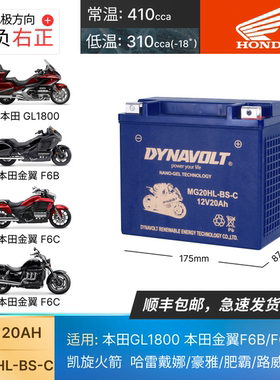用于本田GL1800金翼F6B F6C凯旋火箭3哈雷戴娜豪雅电瓶GYZ20L电池