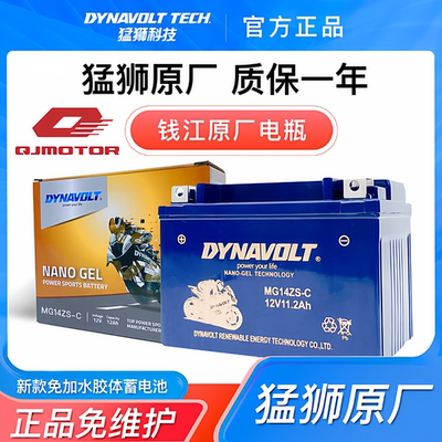 钱江追350/600 赛250/350/550/600 闪300 鸿350  骁500摩托车电瓶