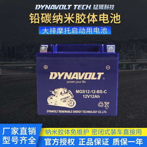 猛狮摩托车电瓶春风狒狒