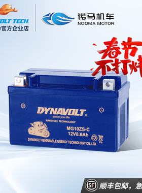 诺马玛魅影255S刀锋400300 GW300诺马H6天鹰R25天蝎摩托车12V电瓶