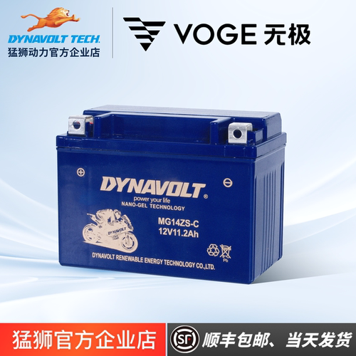 隆鑫无极250GT CU625 大师兄500R  525R 650DS 300R RR摩托车电瓶