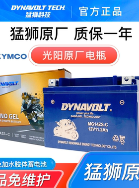 台湾光阳原厂 AK550 SAA1AA/AD/AG CK600T-10 电瓶 电池 TTZ14S