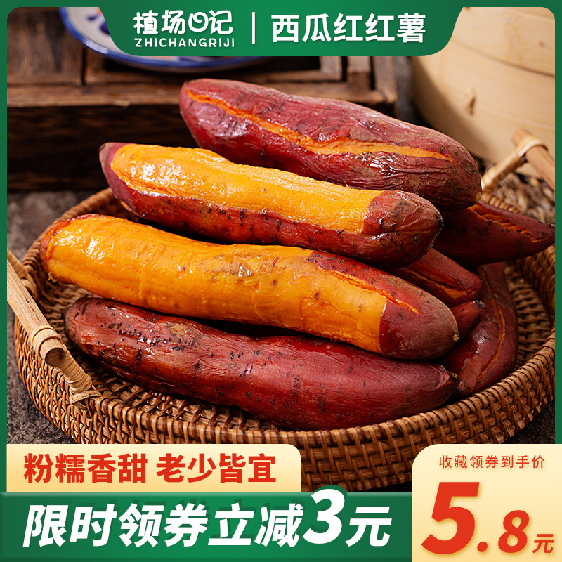 西瓜红红薯蜜薯新鲜地瓜板栗红心糖心自种沙地烟薯小香薯黄心山芋|msdalam kategori daging perikanan/Buah-buahan segar dan sayur-sayuran/dimasak, sayur-sayuran segar/Vegetable Products, sayur-sayuran segar, ubi keledek - dari Buy2taobao.com untuk memberikan perkhidmatan ejen Taobao profesional membeli