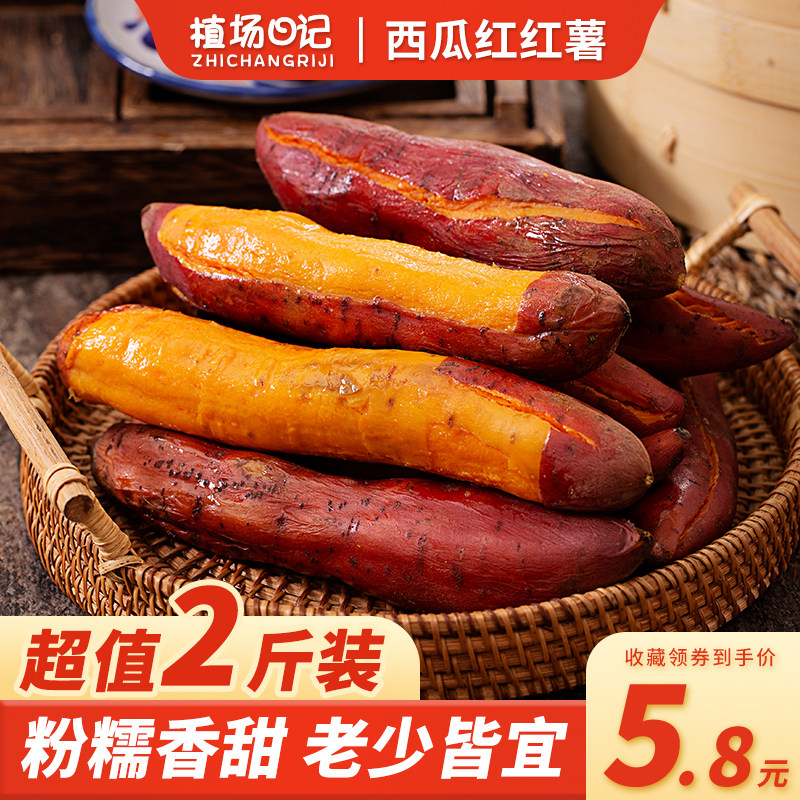 红心蜜糖西瓜红红薯蜜薯农家自种10斤沙地山芋蔬菜小香芋板栗地瓜|msdalam kategori daging perikanan/Buah-buahan segar dan sayur-sayuran/dimasak, sayur-sayuran segar/Vegetable Products, sayur-sayuran segar, ubi keledek - dari Buy2taobao.com untuk memberikan perkhidmatan ejen Taobao profesional membeli