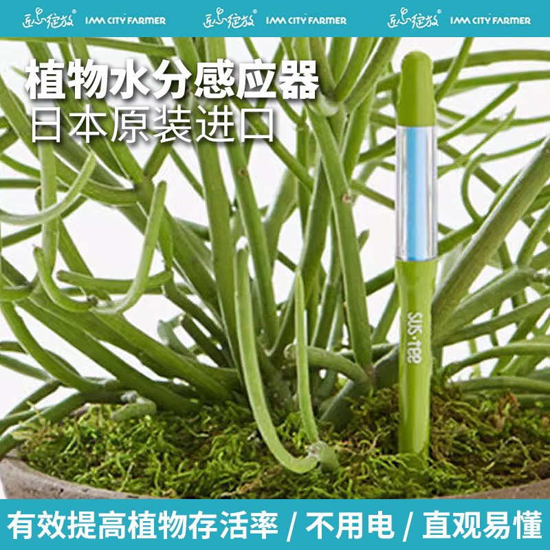 匠心绽放水分计植物湿度计