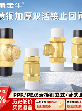 金角金牛全铜ppr双活接止回阀立式卧式4分6分1寸单向阀PE止逆阀